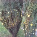 20131208_152617