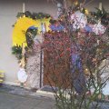20141206_153637