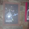 IMG_20160321_104255