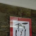 IMG_20160615_162807