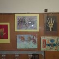IMG_20161102_193845