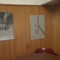 IMG_20161102_193937