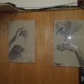 IMG_20161102_193952
