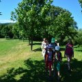 DSC_9427 (1)