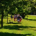 DSC_9432 (1)