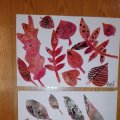 IMG_20171101_164431