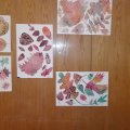 IMG_20171101_165509