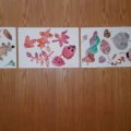 IMG_20171101_165629