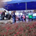 IMG_20181202_153149