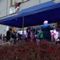 IMG_20181202_153239
