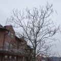 DSC09082