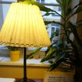 DSC09104