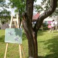 IMG_20190531_155501