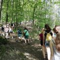 IMG_20190614_110429