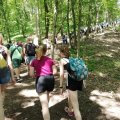 IMG_20190614_110435