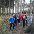 IMG_20191026_160717