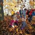 IMG_20191026_164726