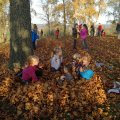 IMG_20191026_164919