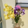 DSCF0092