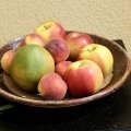 DSCF0095