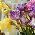 DSCF0184