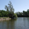 DSCF1570