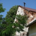 DSCF1572