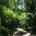 DSCF1717
