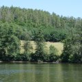 DSCF1727
