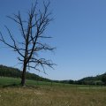 DSCF1729