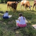 IMG_2194