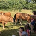 IMG_2202