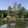 IMG_3313 (1)