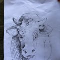 IMG_3315 (1)